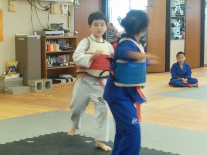 Belt Tests