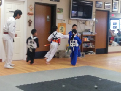 Belt Tests