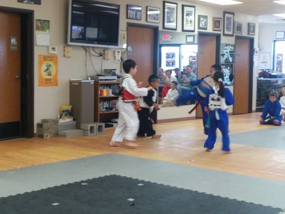 Belt Tests