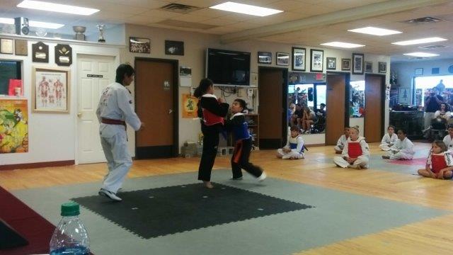 Belt Tests
