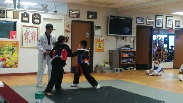 Belt Tests