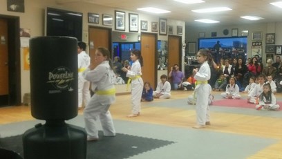 Belt Tests