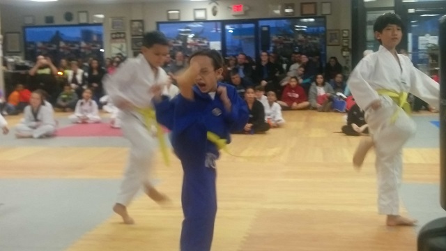 Belt Tests