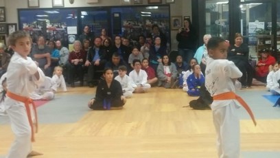 Belt Tests