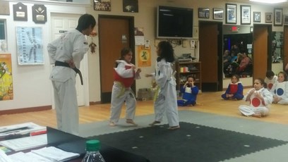Belt Tests