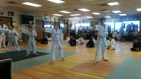 Belt Tests