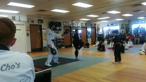 Belt Tests