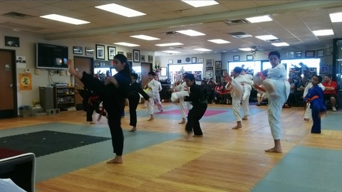 Belt Tests