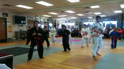 Belt Tests