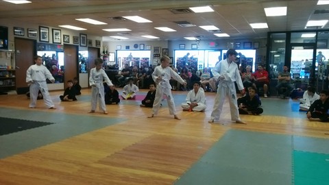 Belt Tests