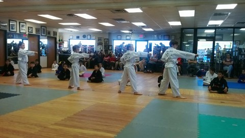 Belt Tests