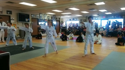 Belt Tests