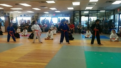 Belt Tests