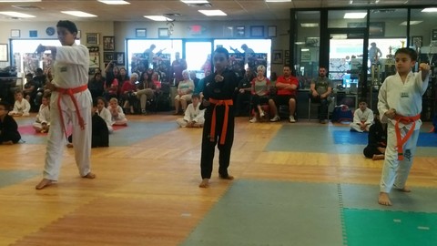 Belt Tests