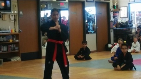 Belt Tests