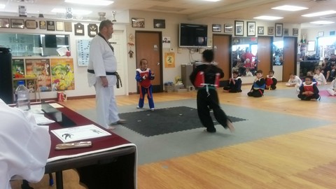 Belt Tests