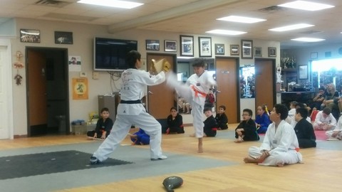 Belt Tests