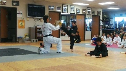 Belt Tests